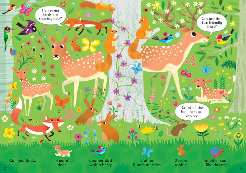 Look and Find Puzzles: In the Forest