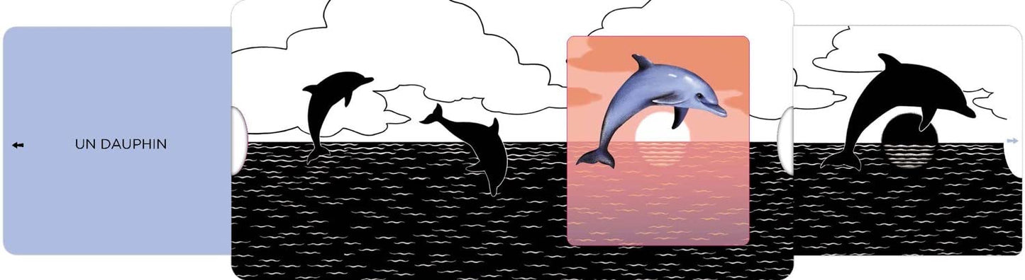 La mer - Un livre en noir et blanc qui passe en couleurs grâce aux animations