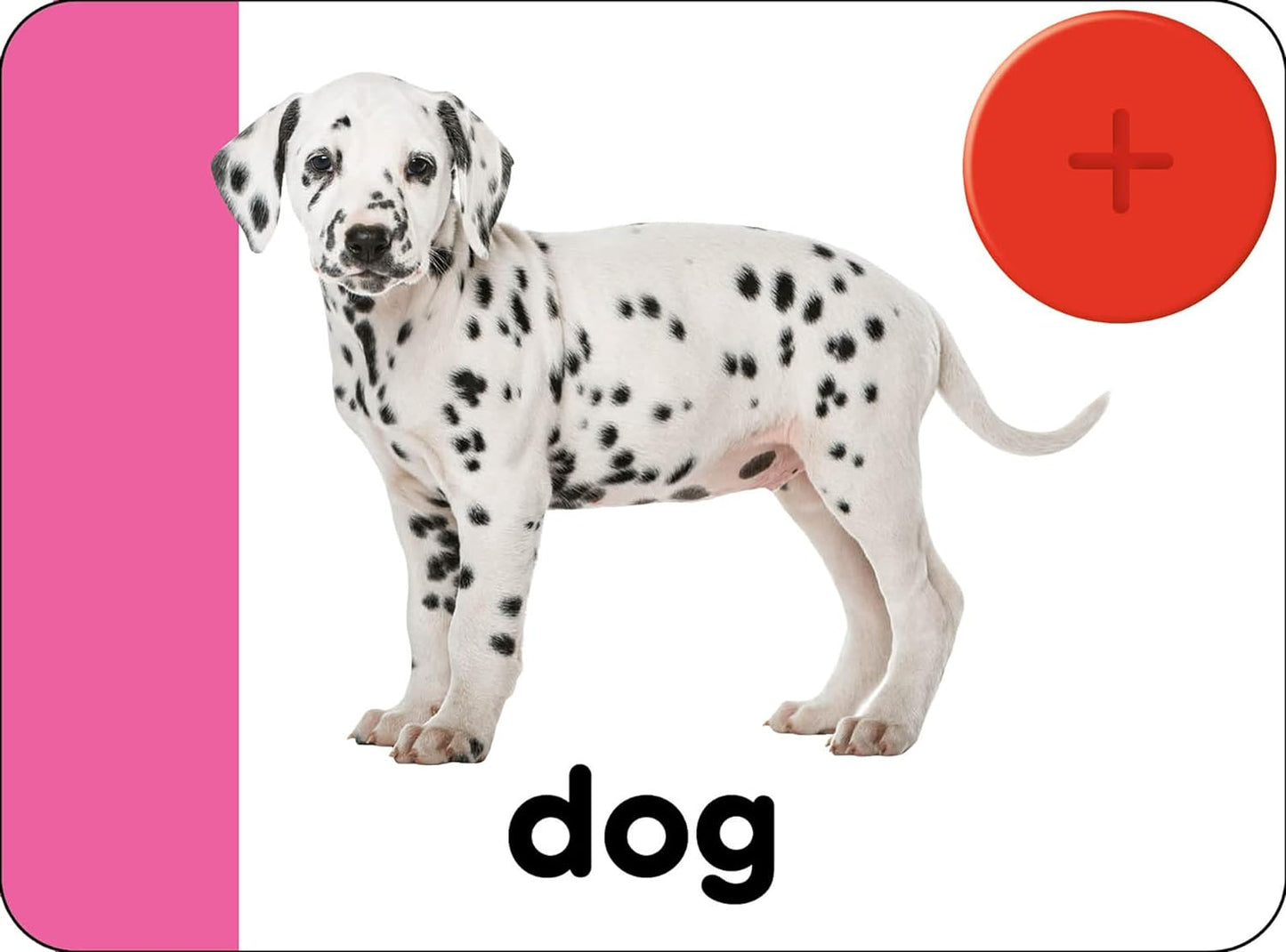 Priddy Books - Turn & Play Words