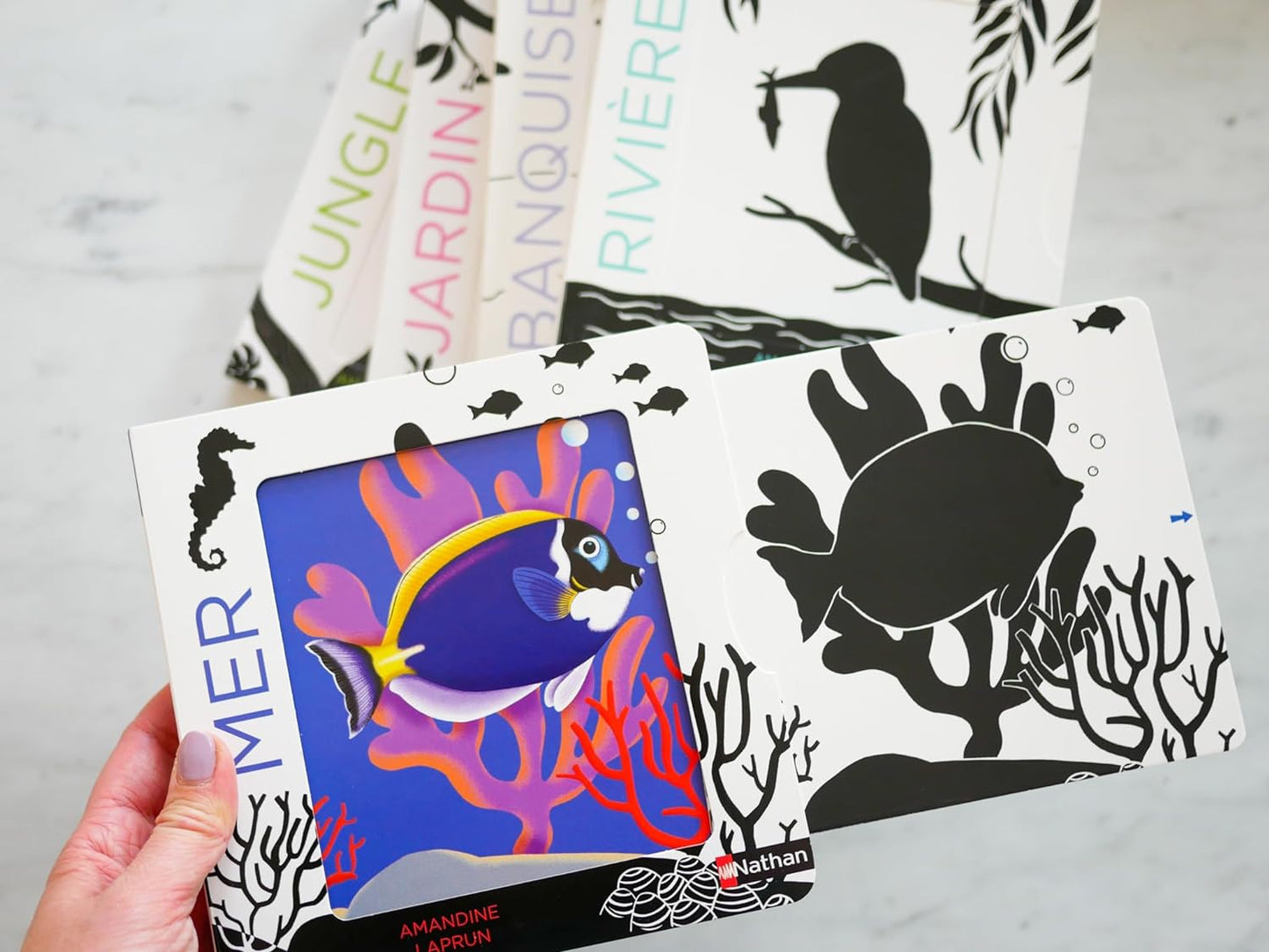 La mer - Un livre en noir et blanc qui passe en couleurs grâce aux animations