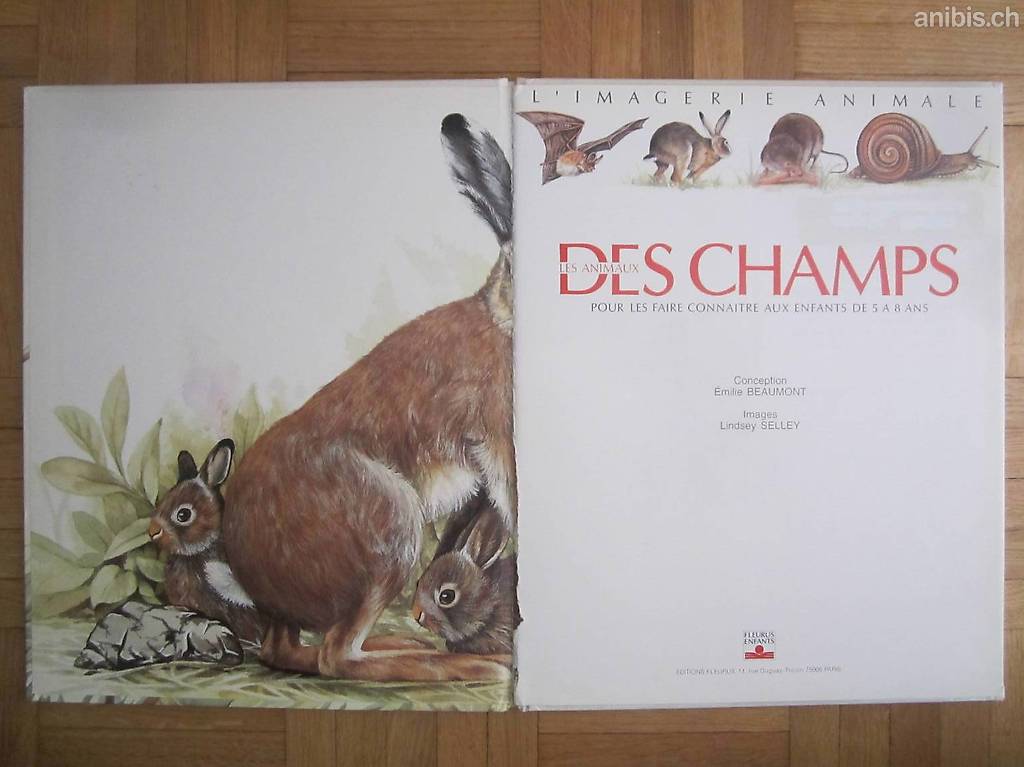Imagerie animale - Des champs