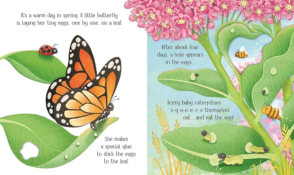 One Little Butterfly