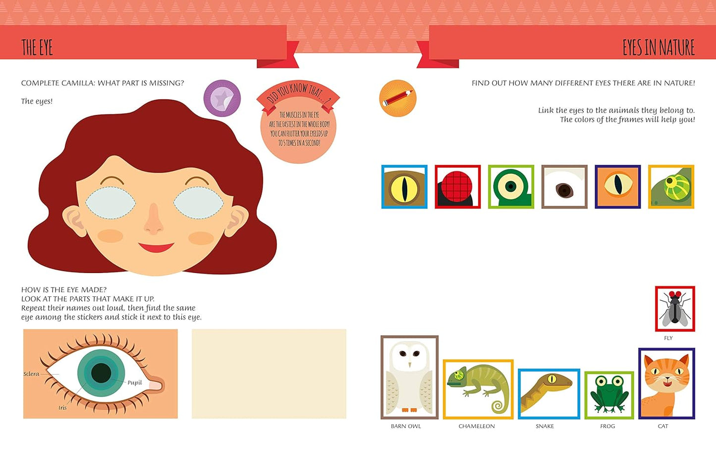 Montessori : My First Book Of The HUMAN BODY