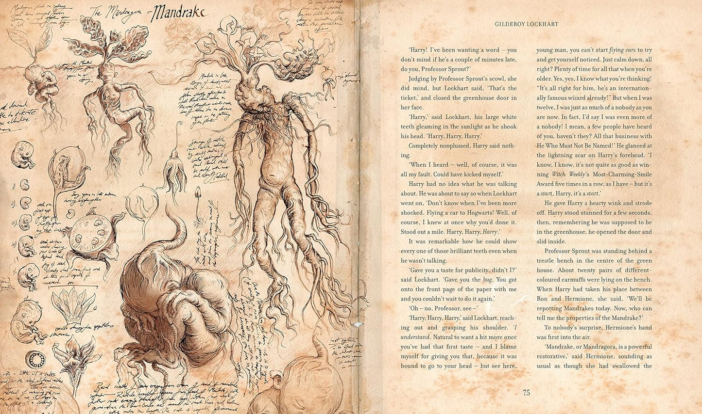 Harry Potter And the Chamber of secrets