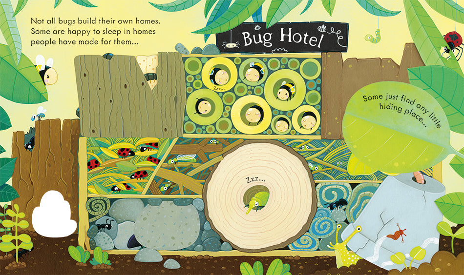 Peep Inside bug homes