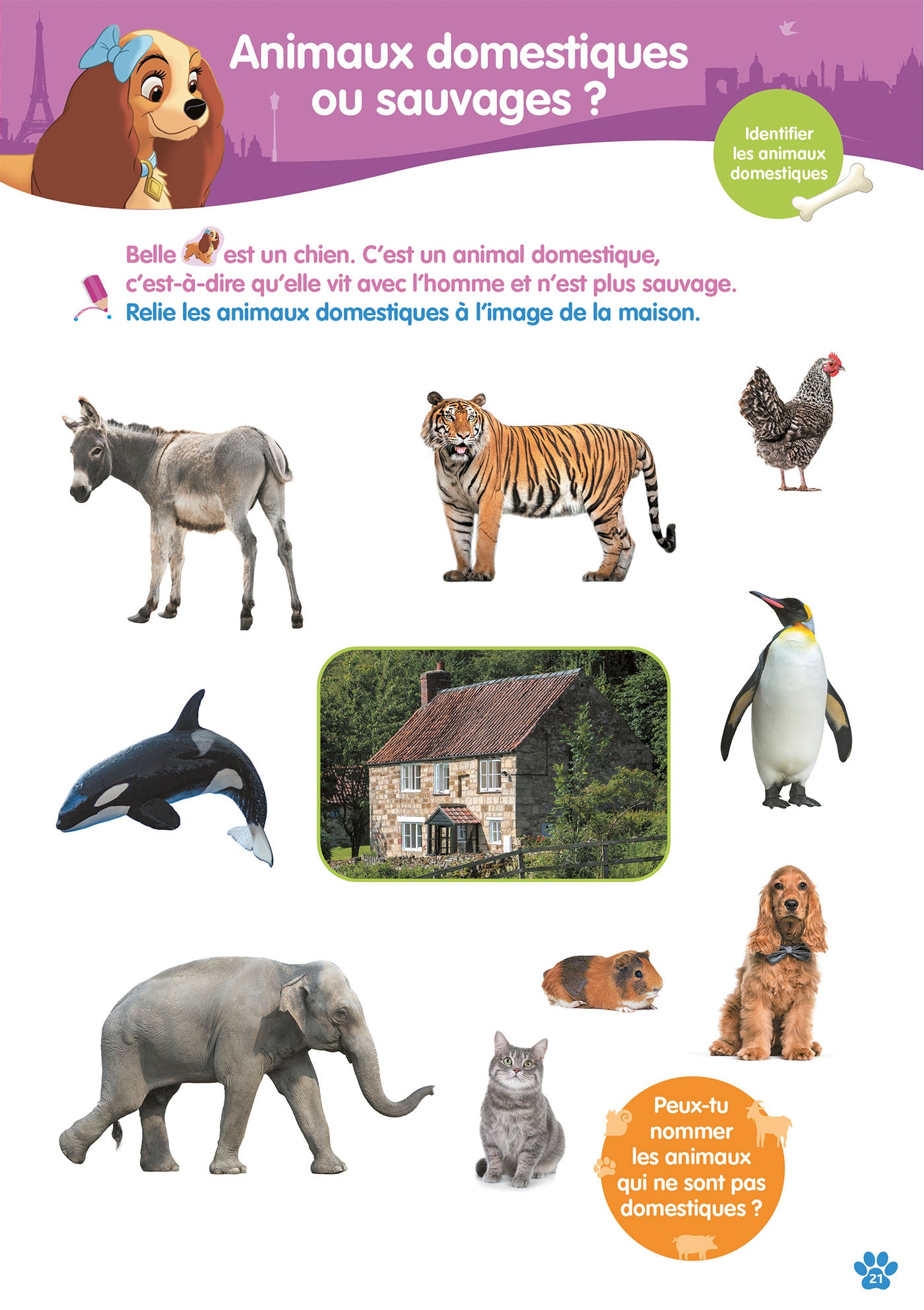 Disney Animaux - Cahier de vacances 4-5 ans