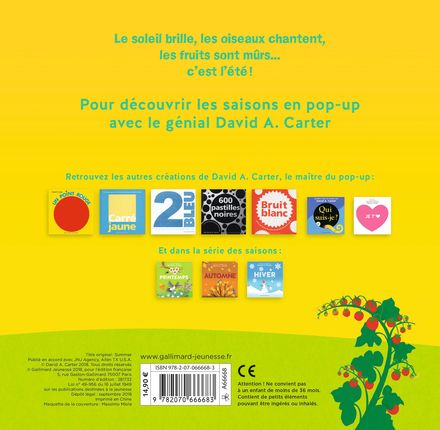Gallimard Jeunesse- ETE pop-up