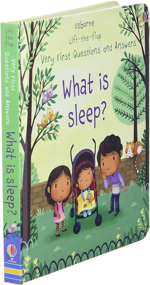 Lift-the-flap Very First Questions and Answers: What is sleep?