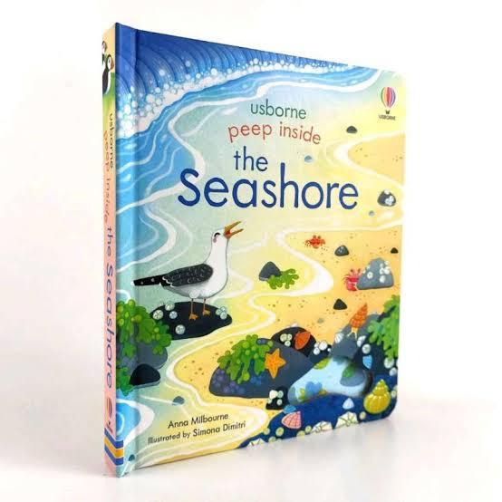 Peep Inside the seashore