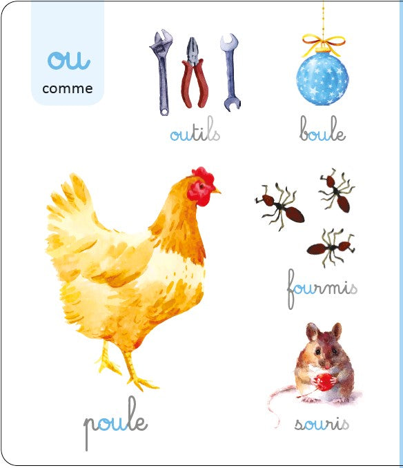 LAROUSSE - Le Grand Imagier Montessori des sons et des graphemes rugueux