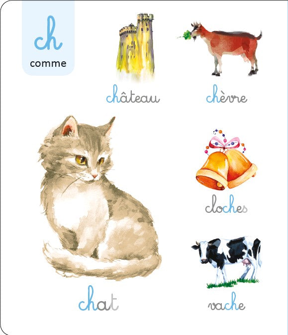 LAROUSSE - Le Grand Imagier Montessori des sons et des graphemes rugueux