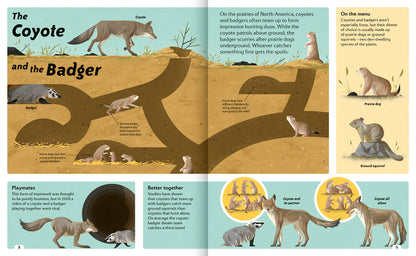 Priddy Books - Animal Sidekicks: Amazing Stories of Symbiosis in Animals and Plants