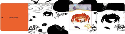 La mer - Un livre en noir et blanc qui passe en couleurs grâce aux animations