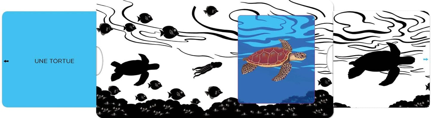 La mer - Un livre en noir et blanc qui passe en couleurs grâce aux animations
