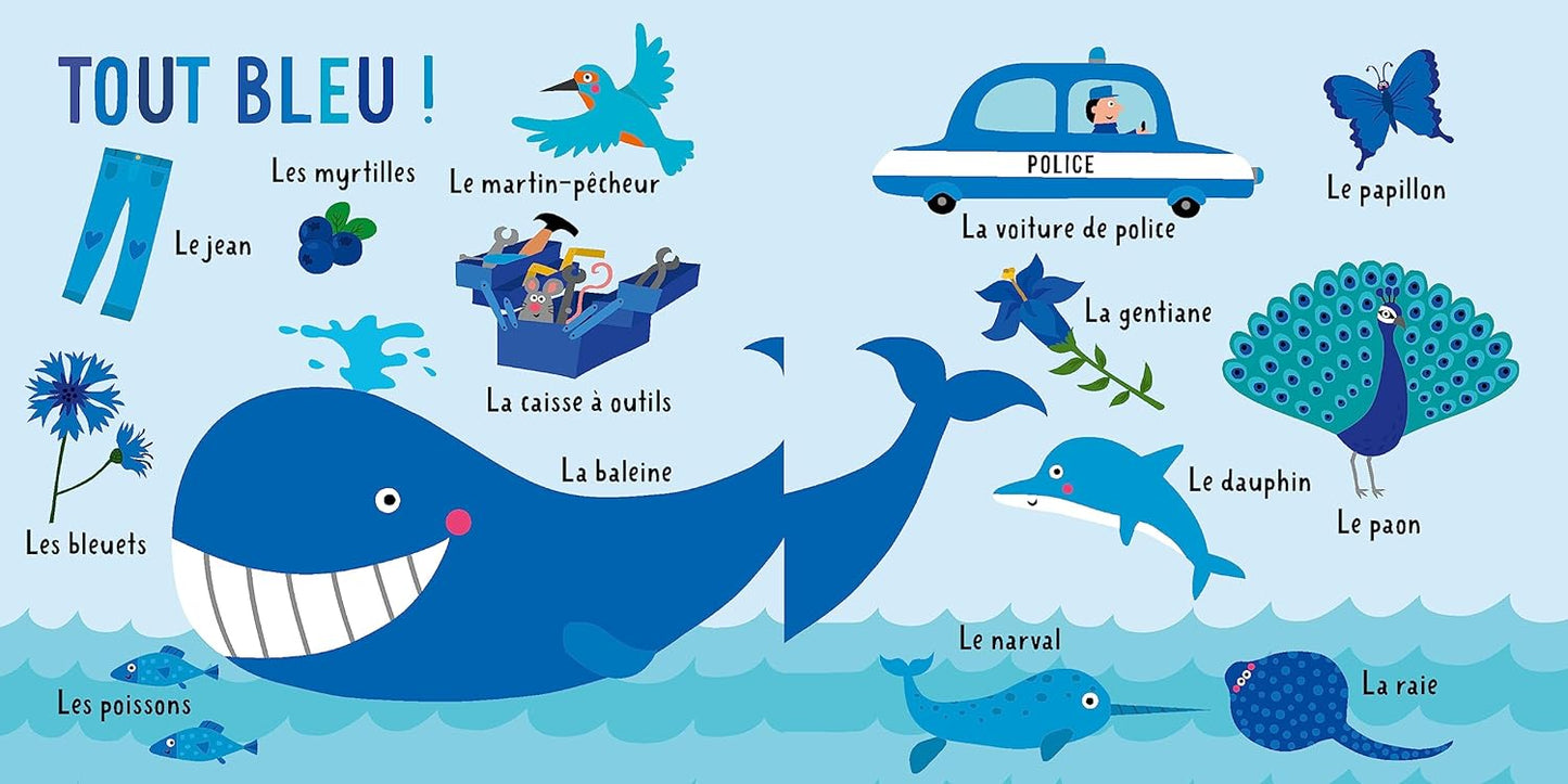 Un Livre Indestructible, Mon premier imagier des couleurs