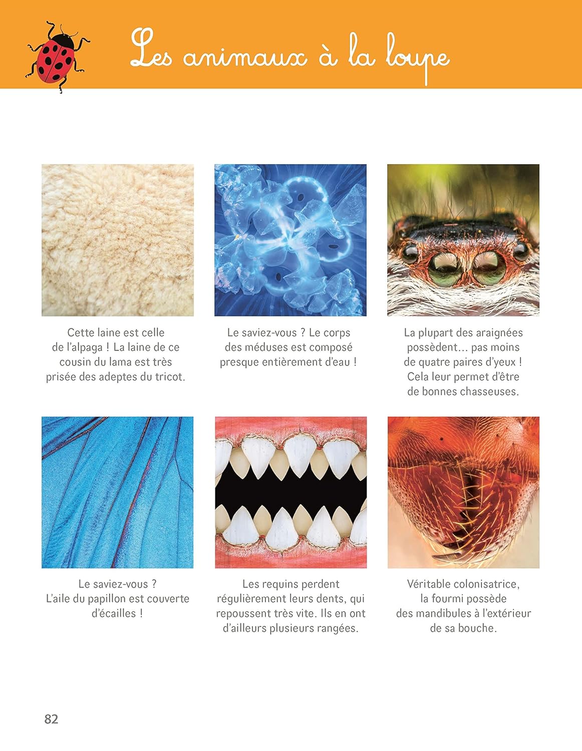 Larousse - Montessori - Grand Cahier de la nature