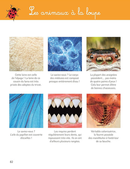 Larousse - Montessori - Grand Cahier de la nature