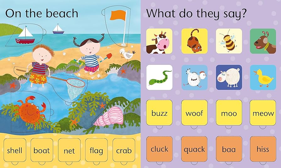 Lift-the-flap: Word Book