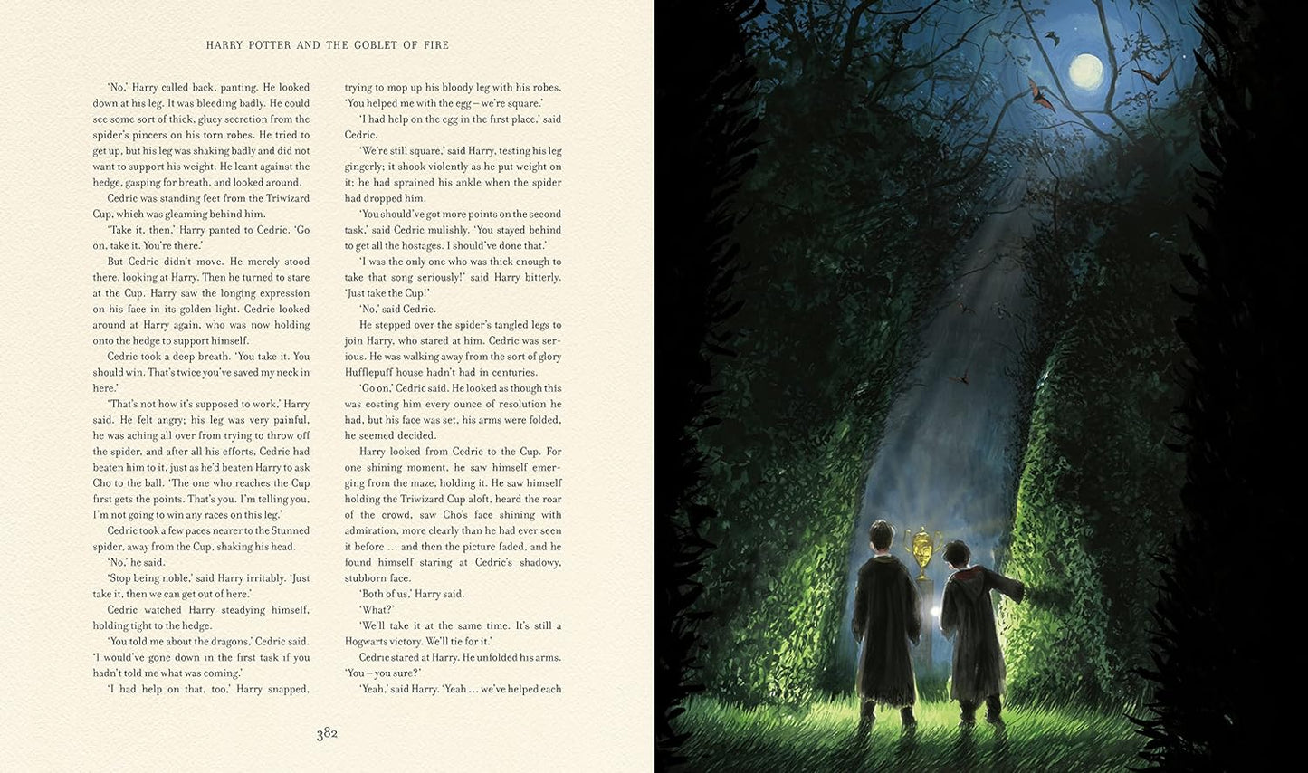 Harry Potter And the Goblet of Fire