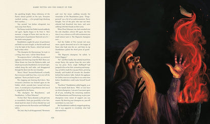 Harry Potter And the Goblet of Fire