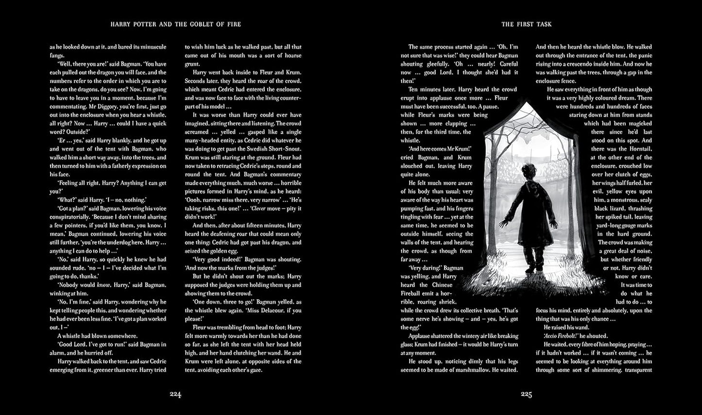 Harry Potter And the Goblet of Fire