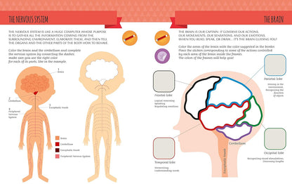 Montessori : My First Book Of The HUMAN BODY