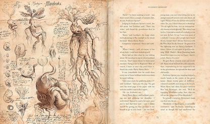 Harry Potter And the Chamber of secrets