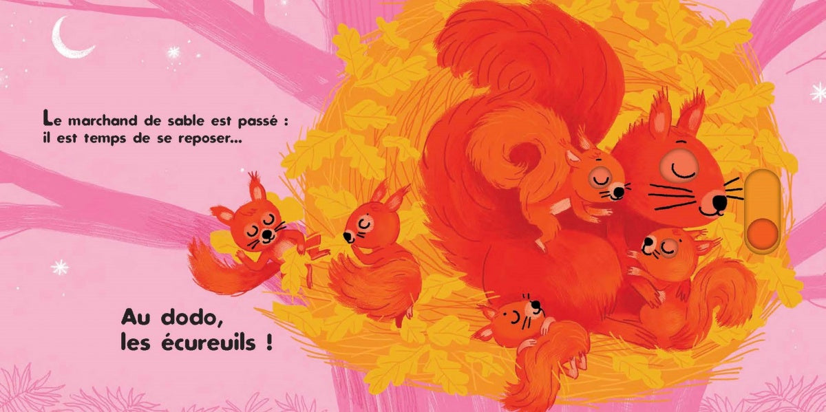 Les amis de la foret - Au Dodo