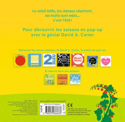 Gallimard Jeunesse- ETE pop-up