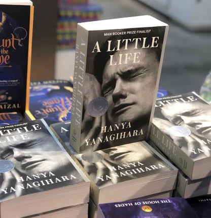 A little Life
