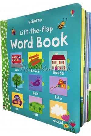 Lift-the-flap: Word Book