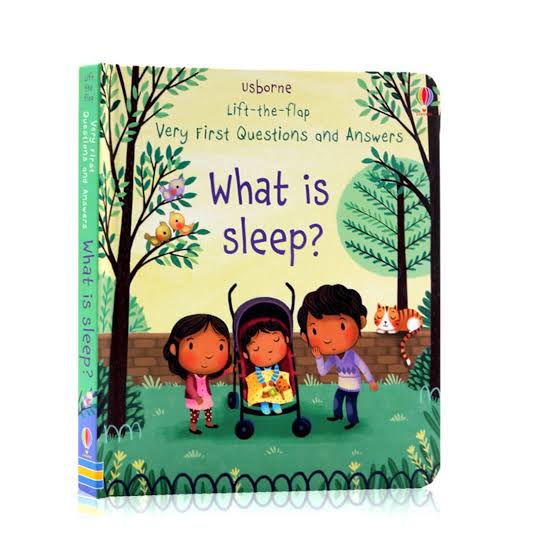Lift-the-flap Very First Questions and Answers: What is sleep?