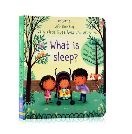 Lift-the-flap Very First Questions and Answers: What is sleep?