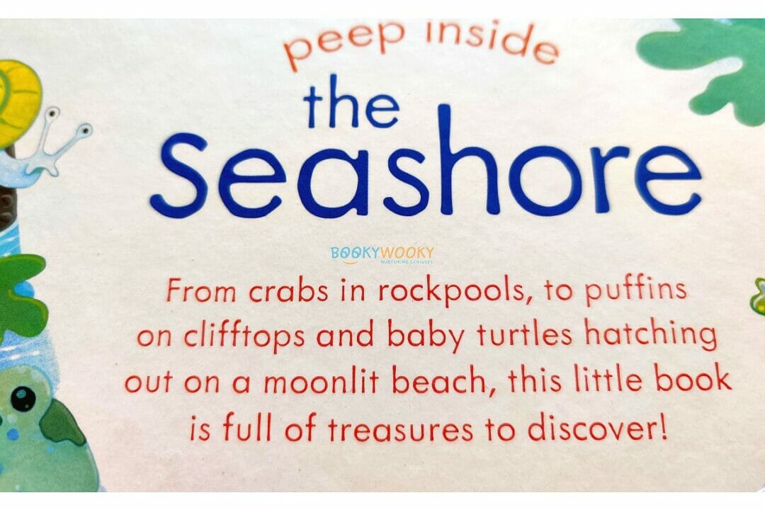 Peep Inside the seashore