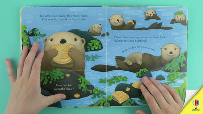Peep Inside the seashore