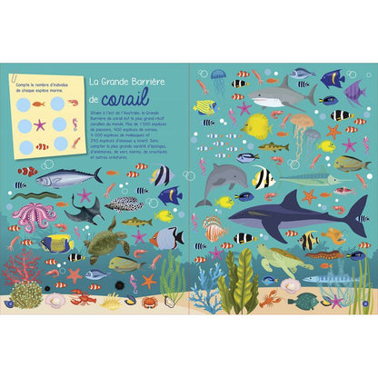 Mon Voyage Dans Les Oceans